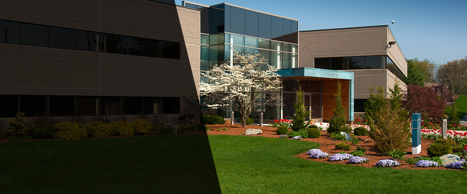 Sutter Creek Landscapers