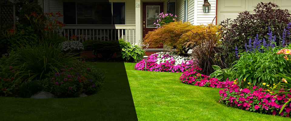 Sutter Creek Landscapers