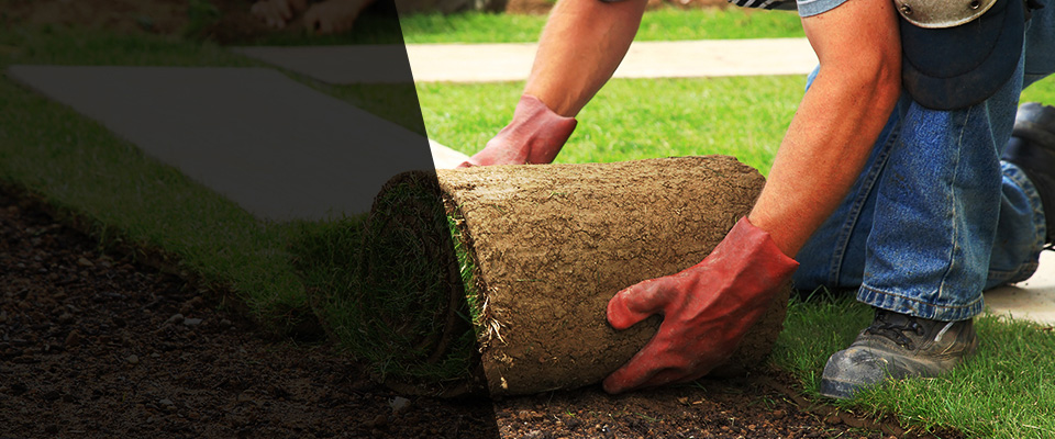 Sutter Creek Landscapers